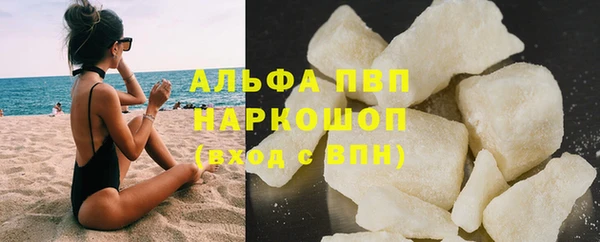 сатива Осташков