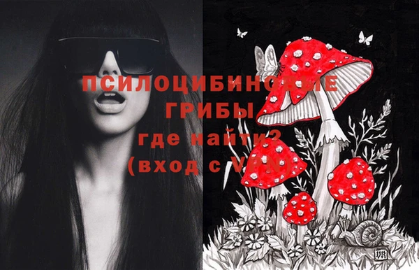 Альфа ПВП Остров