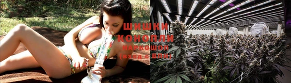 сатива Осташков