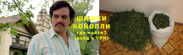 сатива Осташков