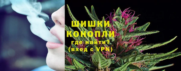 сатива Осташков