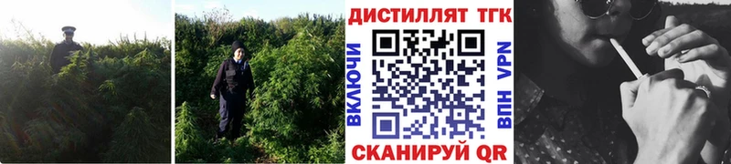 ТГК вейп с тгк  Купить  Славск 