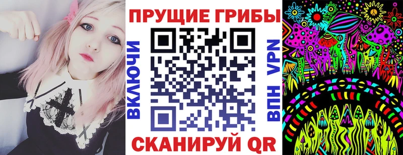 Купить закладки  Славск  Галлюциногенные грибы Psilocybine cubensis 