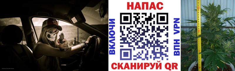 Купить где  Славск  Бошки Шишки сатива 